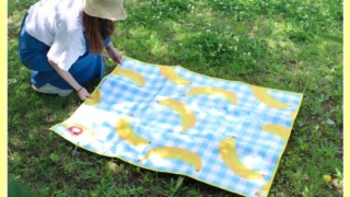 Thumbnail of post image 069