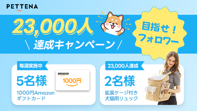 PETTENAのAmazonギフトカードと犬猫用リュックが当たる懸賞