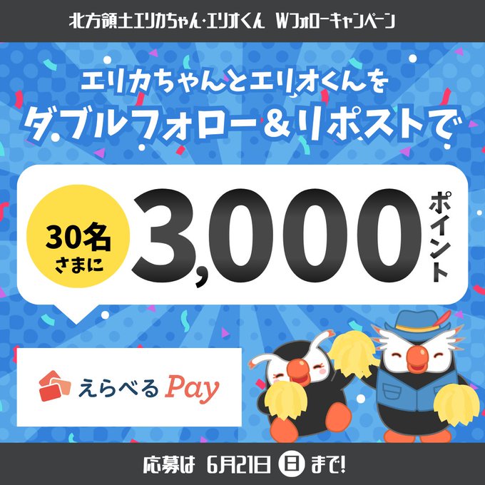 北方領土問題対策協会のえらべるPay3000ポイントが30名に当たる懸賞