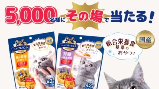 Thumbnail of post image 069