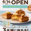 Thumbnail of related posts 004