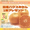 Thumbnail of related posts 159