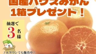 Thumbnail of post image 050