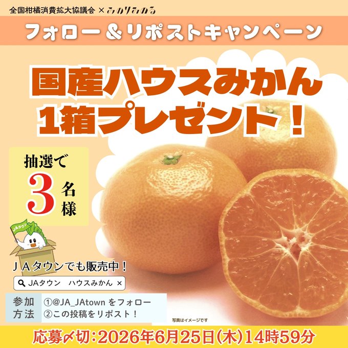 JAタウンの国産ハウスみかん1箱が3名に当たる懸賞