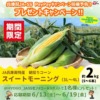 Thumbnail of related posts 132