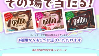 Thumbnail of post image 004