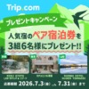 Thumbnail of related posts 113